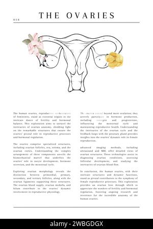 20 digitale anatomische medizinische Illustrationen mit Beschreibung und Blumen Stockfoto