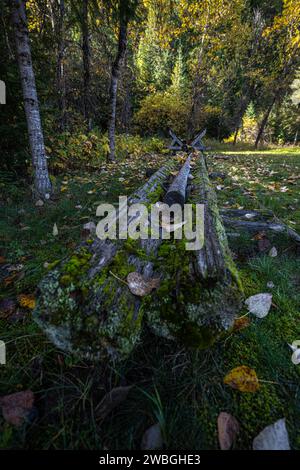 Der alte Holzschacht in Nord-Idaho Stockfoto