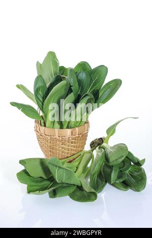 Frischer Bok Choy oder Pak Choi Chinakohl im Mini-Rattan-Schälkorb. Isoliert auf weiß. Bio-Gemüse Stockfoto