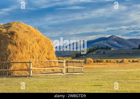 Heuballen unter Schwarzen Berg auf der kontinentalen Wasserscheide in der Nähe von Avon, Montana Stockfoto