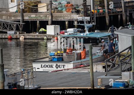 Boothbay Harbor, Maine, USA - 12. Juli 2021: Fischer entladen ihren täglichen Hummerfang am Pier. Stockfoto