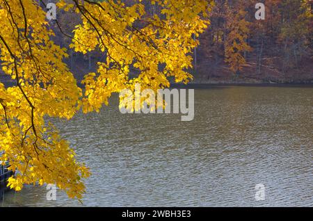 Spektakuläre Herbstfarben schmücken ländliche Länder und Gewässer. Stockfoto