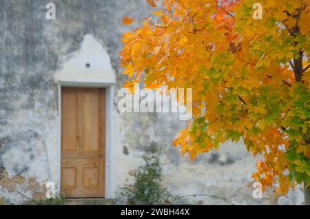 Spektakuläre Herbstfarben schmücken die ländlichen Landschaften der Virginia Fields im Pferderaum. Stockfoto