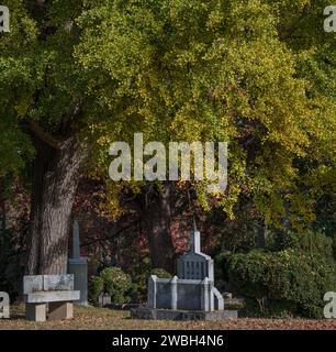 Der Hollywood Cemetery ist ein historischer Friedhof in Richmond, VA Stockfoto