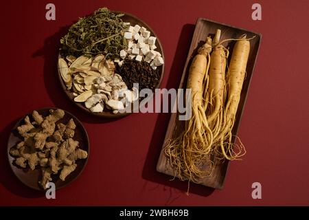 Ein Gericht enthielt getrocknete Minze, Bai zhu, Ingwer, Nelken und Poria cocos, arrangiert mit Ingwerwurzeln und getrockneter Kurkuma. Gesundes Medizinkonzept für A Stockfoto