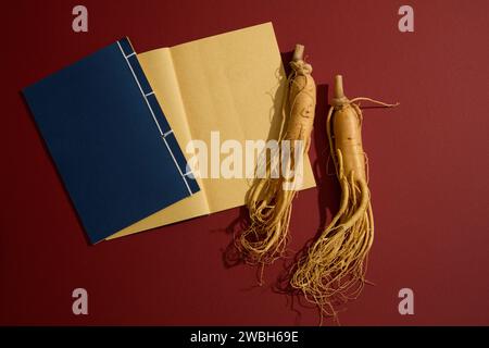 Minimale Szene mit frischen Ginseng-Wurzeln, verziert mit geöffneten Büchern der alten chinesischen Medizin vor rotem Hintergrund. Konzept der gesunden Medizin Stockfoto