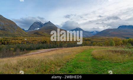 Steile Berge in den Lyngenalpen von Troms in Norwegen. Tiefe Gletschertäler mit herbstbunten Bäumen und felsigen Gipfeln im Herbst. Wundervolle, ruhige Natur Stockfoto