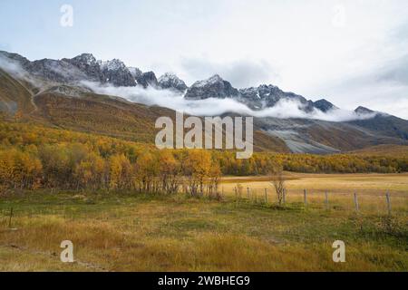 Steile Berge in den Lyngenalpen von Troms in Norwegen. Tiefe Gletschertäler mit herbstbunten Bäumen und felsigen Gipfeln im Herbst. Wundervolle, ruhige Natur Stockfoto