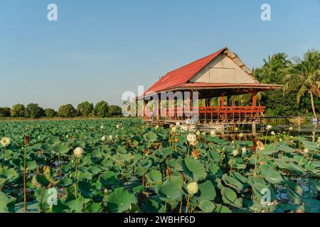 Traditioneller Pavillon im thailändischen Stil am Lotusteich. Holz Thai Pavillon reflektiert im Sonnenuntergang. Alter hölzerner thai-Pavillon am Fluss. Stockfoto