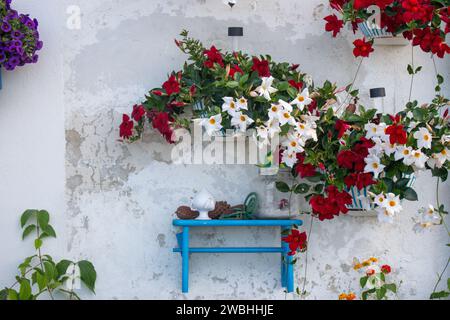 Helle Blumen vor weiß strukturierter Wand. Rustikaler Hinterhof. Italienische Dorfdekoration im Freien. Weiße und rote Blumen in Töpfen an der Wand. Stockfoto