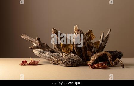 Alte trockene Holzschnäppchen und getrocknete Weinblätter auf beigefarbenem Hintergrund. Platzieren Sie Ihr Produkt in den Vordergrund. Kopierbereich. Stockfoto