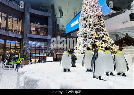 Dubai, Vereinigte Arabische Emirate. Dezember 2023. Ski Dubai, ein Indoor-Skigebiet, Snowpark, in der Mall of the Emirates in Dubai.Foto: Henrik Montgomery/TT/Code 10060 Credit: TT News Agency/Alamy Live News Stockfoto