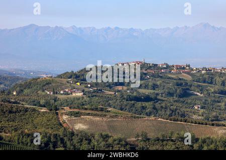 Blick auf die Langhe-Roero-Hügel in Piemont mit den Alpen im Hintergrund. Italien Stockfoto