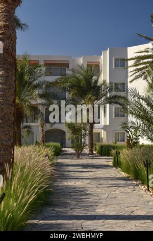 Schöne moderne Architektur, moderne Einrichtung, grüner, moderner Garten, an einem sonnigen Sommertag. Stockfoto