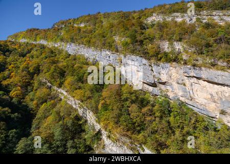 Herbstfarben des majestätischen Berges, ausgedrückt in hellen Laubtönen Stockfoto