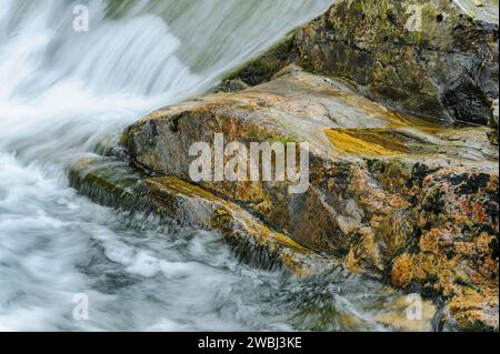 Eine Nahaufnahme von klarem, rauschendem Wasser, das sanft über lebendige, moosige Felsen in einer ruhigen Waldlandschaft fließt. Stockfoto