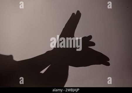 Kinderhände machen Vogel an der Wand, Schatten, Spiel mit Schatten an der Wand Stockfoto