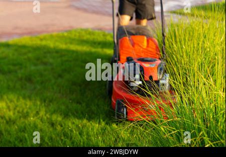 Der Mann mäht einen Rasen mit einem Rasenmäher am Morgen bei Sonnenaufgang. Selektiver Fokus. Stockfoto