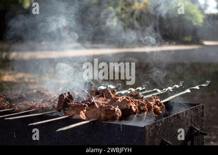 Gegrillter Kebab, der auf einem Metallspieß kocht. Gebratenes Fleisch, das beim Barbecue gekocht wird. Picknick, Street Food. Rauch. Stockfoto