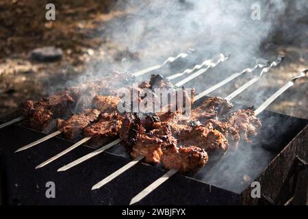 Gegrillter Kebab, der auf einem Metallspieß kocht. Gebratenes Fleisch, das beim Barbecue gekocht wird. Picknick, Street Food. Rauch. Stockfoto