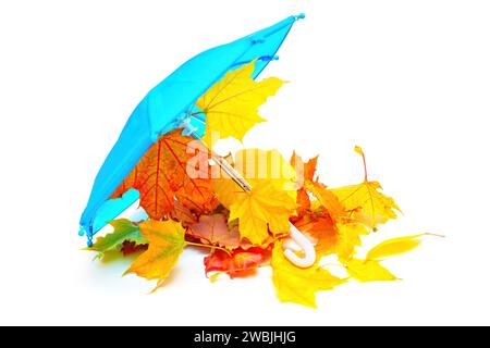 Nahaufnahme eines winzigen blauen Regenschirms mit einem Haufen roter und gelber Blätter isoliert auf weißem Hintergrund. Stockfoto
