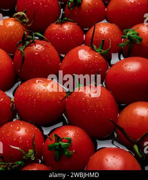 Schöne leckere frische rote Tomaten auf grünem Stiel. Tomaten mit Wassertropfen. Nahaufnahme. Stockfoto