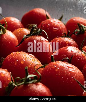 Schöne leckere frische rote Tomaten auf grünem Stiel. Tomaten mit Wassertropfen. Nahaufnahme. Stockfoto