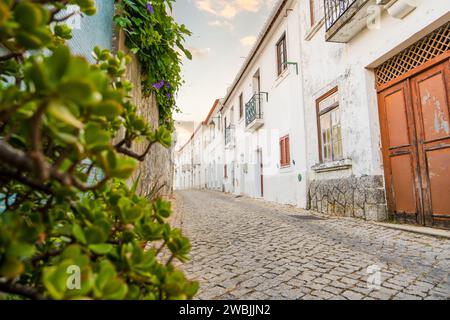 Wunderschöner Blick auf das bergige Monchique, die Algarve, Südportugal Stockfoto