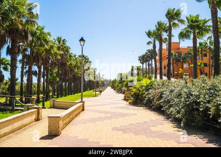 Strandpromenade mit Palmen in Isla Canela, andalusien, Spanien Stockfoto