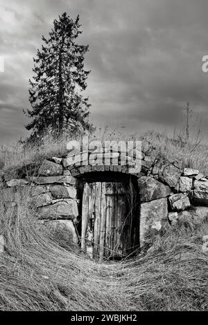 Holztür zum alten Erdkeller im ländlichen Finnland mit einer Fichte im Hintergrund. Schwarzweißkonvertierung. April 2021. Stockfoto