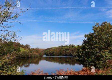 Ein Stausee und seine Reflexion während der Herbstsaison umgeben von Grün Stockfoto
