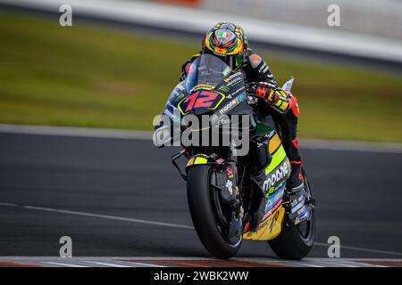 Italienische MotoGP Rider Nr. 12 Marco Bezzechi Training beim Test 2024 mit dem LCR Honda Team auf der Strecke von Valencia. Stockfoto