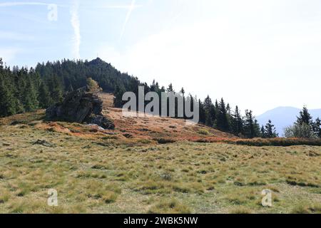 Herbst am Großen Osser im Bayerischen Wald Stockfoto