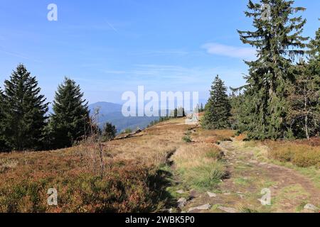 Herbst am Großen Osser im Bayerischen Wald Stockfoto