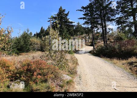 Herbst am Großen Osser im Bayerischen Wald Stockfoto