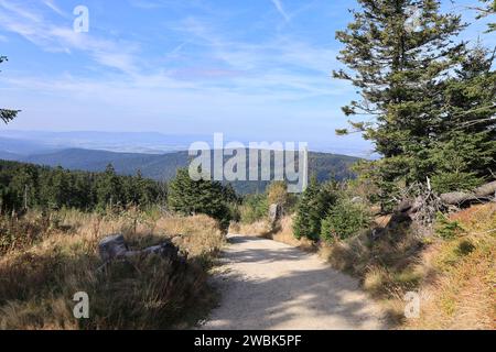 Herbst am Großen Osser im Bayerischen Wald Stockfoto