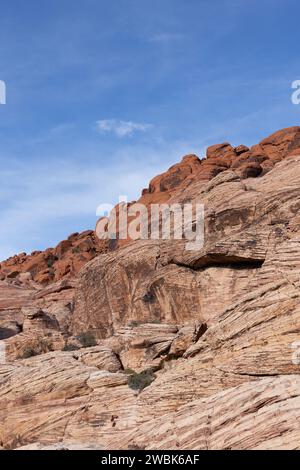 Die Calico Hills im Red Rock Canyon in der Nähe von Las Vegas, Nevada. Stockfoto