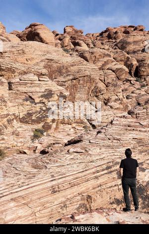 Ein Mann im Vordergrund, von hinten gesehen, mit Blick auf die Calico Hills im Red Rock Canyon in der Nähe von Las Vegas, Nevada. Stockfoto