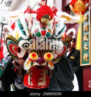 LONDON - 29. JAN: Performer, Löwentanz, nehmen am 29. Januar 2012 in London, Großbritannien, an der Feier des chinesischen Neujahrs Teil. Verschiedene traditionelle Produkte Stockfoto