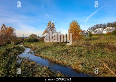 Dortmund, Nordrhein-Westfalen, Deutschland, Luxusimmobilien am Phönixsee, vor der renaturierten Emscher Stockfoto