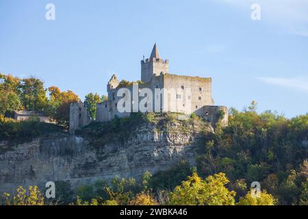 Burgruine Rudelsburg bei Bad Kösen, Naumburg, Sachsen-Anhalt, Deutschland, Europa Stockfoto