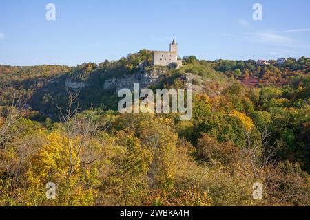 Burgruine Rudelsburg bei Bad Kösen, Naumburg, Sachsen-Anhalt, Deutschland, Europa Stockfoto