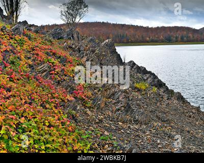 Europa, Deutschland, Hessen, Waldecker Land, Natur- und Nationalpark Kellerwald-Edersee Stockfoto