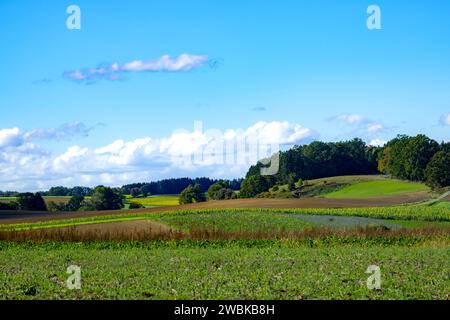 Dachau Hinterland bei Bergkirchen, Landkreis Dachau, Bayern, Deutschland Stockfoto