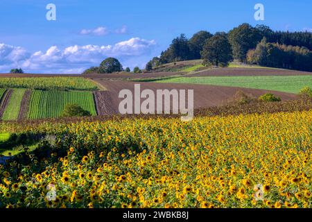 Dachau Hinterland bei Bergkirchen, Landkreis Dachau, Bayern, Deutschland Stockfoto