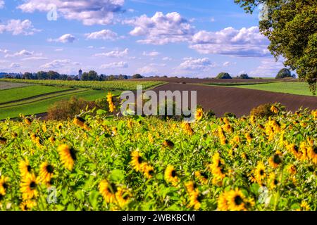 Dachau Hinterland bei Bergkirchen, Landkreis Dachau, Bayern, Deutschland Stockfoto