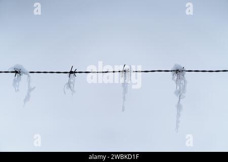 Gefrorene Eiskristalle hängen von einem Stacheldrahtzaun, winterliche Atmosphäre, reduzierte Farben Stockfoto