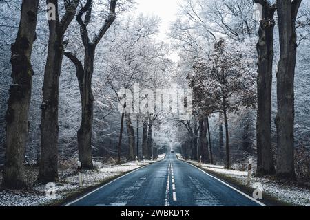 Bundesstraße in Hessen im ersten Frost, Eichen am Straßenrand, düstere Atmosphäre, ein Fahrzeug in der Ferne Stockfoto
