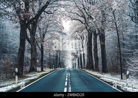 Bundesstraße in Hessen im ersten Frost, Eichen am Straßenrand, düstere Atmosphäre Stockfoto