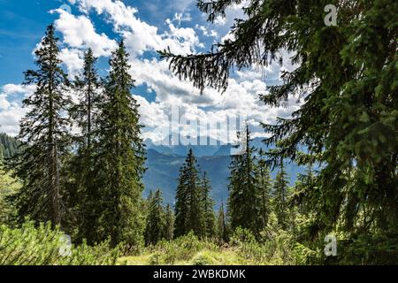 Blick vom Wanderweg am Predigstuhl nach Hochkalter, 2608 m, Lattengebirge, Bad Reichenhall, Bayern, Deutschland, Europa Stockfoto